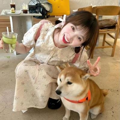 无爱理想国